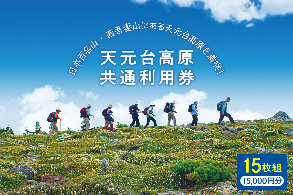 天元台高原 共通利用券 15枚組 ( 1万5千円分 ) トレッキング グリーンシーズン スキー スノーボード ウィンタースポーツ 天元台 西吾妻山