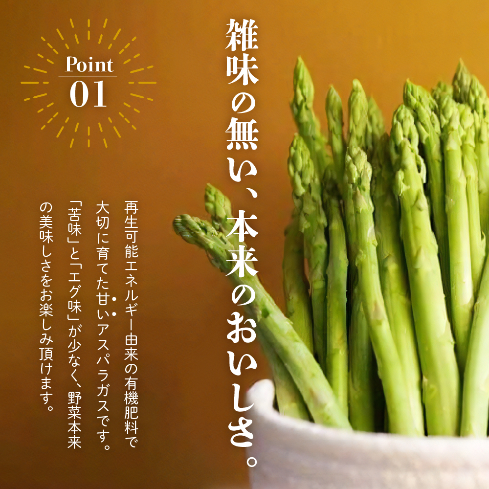 《 先行予約 》【 令和8年産 春芽 】 アスパラガス 1kg 1箱 〔 発送 ： 2026年5月中旬頃 ～ 6月中旬頃 まで 〕 朝採り 有機肥料栽培