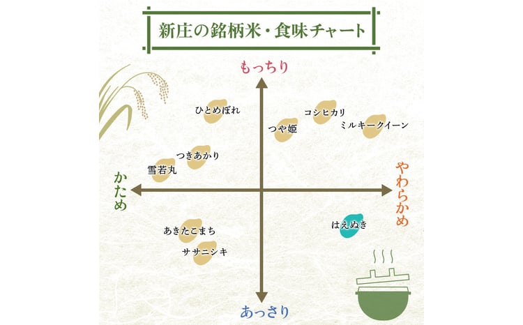 令和7年産 ＜定期便 6回＞ 山形県産 はえぬき 精米 10kg （5kg×2）【最上ノ米蔵】  F3S-2489