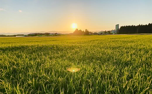 莉、蜥7蟷エ逕」邀ウ 鮟呈セ、縺ョ繧オ繧オ繝九す繧ュシ育イセ邀ウシ1kg 邀ウ 縺顔アウ 縺翫%繧 螻ア蠖「逵 譁ー蠎蟶 F3S-2375