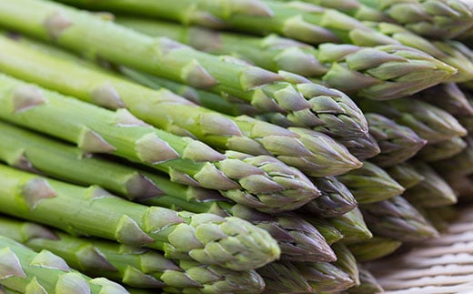 縲仙ュ」遽髯仙ョ壹第眠蠎逕」 繧ー繝ェ繝シ繝ウ繧「繧ケ繝代Λ繧ャ繧ケ 2L 2kg 驥手除 繧「繧ケ繝代Λ F3S-1028