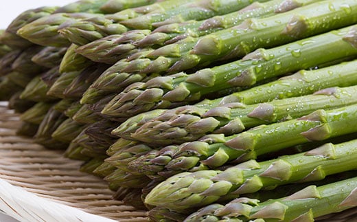 縲仙ュ」遽髯仙ョ壹第眠蠎逕」 繧ー繝ェ繝シ繝ウ繧「繧ケ繝代Λ繧ャ繧ケ 2L 2kg 驥手除 繧「繧ケ繝代Λ F3S-1028