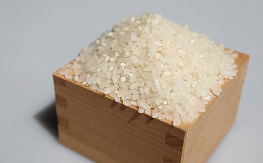 ã什å7幎ç£ã 黿Ÿ€ã®ã¯ãã¬ã 10kg ç±³ ãç±³ ããã å±±åœ¢ç æ°åºåž F3S-2672