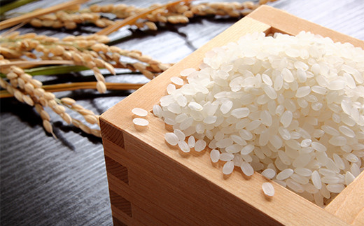 莉、蜥7蟷エ逕」邀ウ 鮟呈セ、縺ョ繧オ繧オ繝九す繧ュシ育イセ邀ウシ1kg 邀ウ 縺顔アウ 縺翫%繧 螻ア蠖「逵 譁ー蠎蟶 F3S-2375