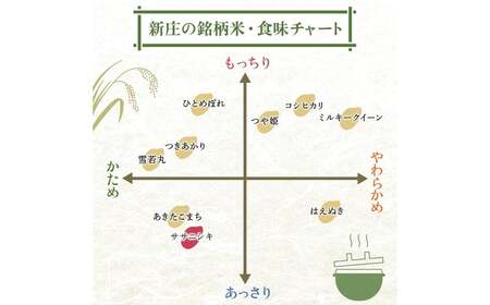令和7年産 ササニシキ 5kg×2 計10kg 精米 【最上ノ米蔵】 山形県産 ささにしき こめ 米 白米 F3S-2706