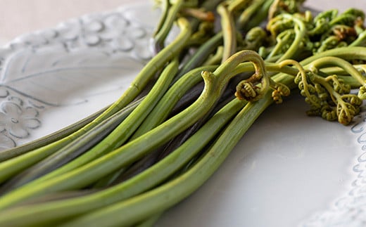 【旬彩工房】山形県産わらび一本漬け風（醤油漬け）＆水煮セット  F3S-1445