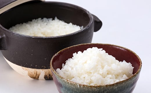 【令和7年産】米食味鑑定士厳選 新庄産 はえぬき 8kg（4kg×2袋） 米 お米 おこめ 山形県 新庄市  F3S-0309