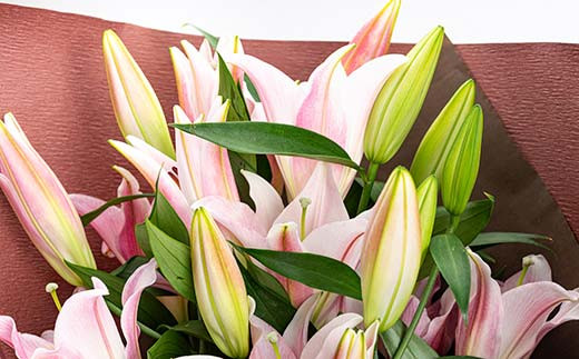 縲2026蟷エ10譛井ク頑流縲12譛井ク区流逋コ騾√代が繝ェ繧ィ繝ウ繧ソ繝ォ繝ヲ繝ェ 闃ア譚 逋セ蜷 繧繧 闃ア 繝輔Λ繝ッ繝シ 繧ョ繝輔ヨ 螻ア蠖「逵 譁ー蠎蟶 F3S-2359