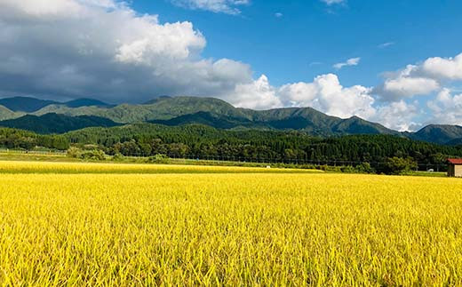 螳壽悄萓ソ 蜈ィ3蝗 讌オ縺ソ縺ョ繧オ繧オ繝九す繧ュシ育イセ邀ウシ3kg 邀ウ 縺顔アウ 縺翫%繧 縺オ繧九&縺ィ邏咲ィ 螻ア蠖「逵 譁ー蠎蟶 F3S-2387