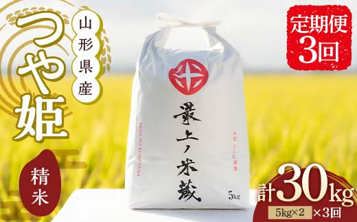 ＜定期便 3回＞ 令和7年産 つや姫 5kg×2 計10kg 精米 【最上ノ米蔵】 山形県産 こめ お米 米 白米  F3S-2565