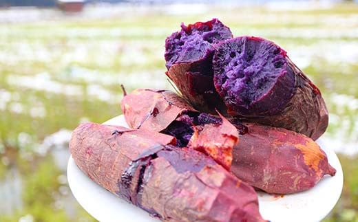 栽培期間中、農薬・化学肥料不使用 もちもち甘〜い『ふくむらさき』 小〜大混合 2kg さつまいも サツマイモ  F3S-2638