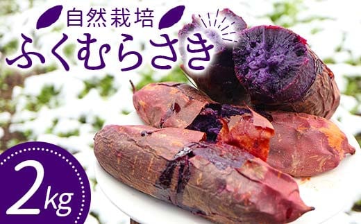 自然栽培 ふくむらさき 2kg 大〜小混合 さつまいも サツマイモ 芋  F3S-2639