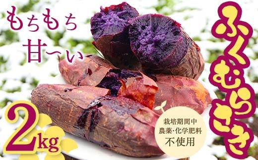栽培期間中、農薬・化学肥料不使用 もちもち甘〜い『ふくむらさき』 小〜大混合 2kg さつまいも サツマイモ  F3S-2638