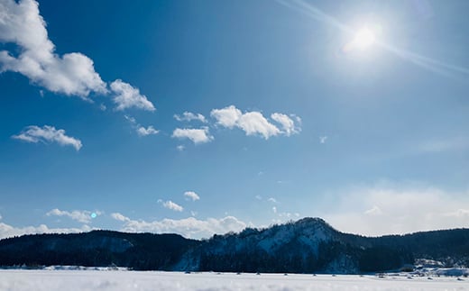 【令和7年産】 極みのササニシキ（精米）3kg×1袋 米 お米 おこめ ふるさと納税 山形県 新庄市  F3S-2378