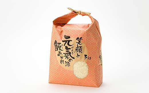 螳壽悄萓ソ 蜈ィ3蝗 讌オ縺ソ縺ョ繧オ繧オ繝九す繧ュシ育イセ邀ウシ3kg 邀ウ 縺顔アウ 縺翫%繧 縺オ繧九&縺ィ邏咲ィ 螻ア蠖「逵 譁ー蠎蟶 F3S-2387