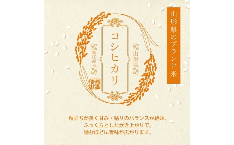 令和7年産 コシヒカリ 5kg×2 計10kg 精米 【最上ノ米蔵】 山形県産 こしひかり こめ 米 白米 F3S-2707