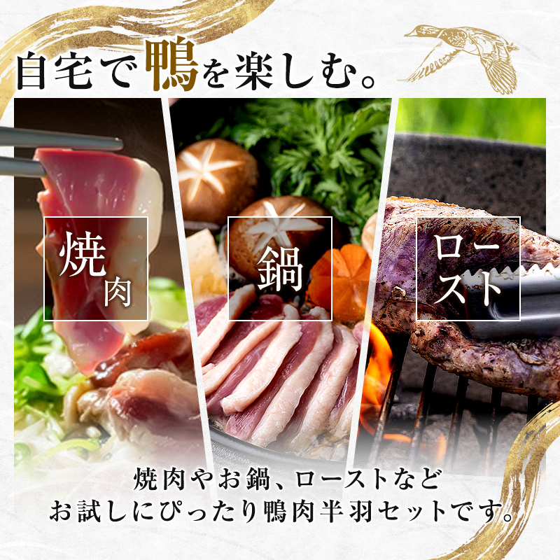 『満天☆青空レストランでご紹介!』もがみの地で育った最上級の鴨 最上鴨 半羽 約500g (むね・もも 各1枚) かも カモ 鴨 鴨肉 鴨鍋 鴨南蛮 鴨焼き ジビエ 山形県 新庄市  F3S-1411