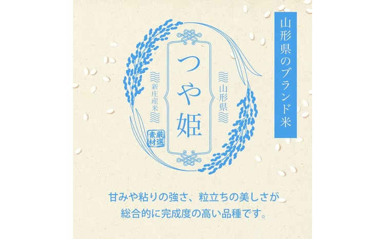 ＜定期便 3回＞ 令和7年産 つや姫 5kg×2 計10kg 精米 【最上ノ米蔵】 山形県産 こめ お米 米 白米  F3S-2565