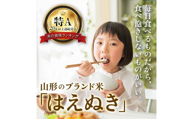 令和7年産 山形県産 はえぬき（精米）5kg 22年連続特A受賞 米 お米 おこめ 山形県 新庄市  F3S-2502