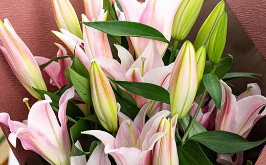 縲2026蟷エ10譛井ク頑流縲12譛井ク区流逋コ騾√代が繝ェ繧ィ繝ウ繧ソ繝ォ繝ヲ繝ェ 闃ア譚 逋セ蜷 繧繧 闃ア 繝輔Λ繝ッ繝シ 繧ョ繝輔ヨ 螻ア蠖「逵 譁ー蠎蟶 F3S-2359