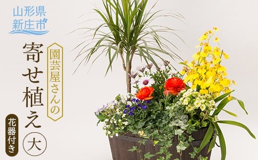 園芸屋さんの寄せ植え大  F3S-0591