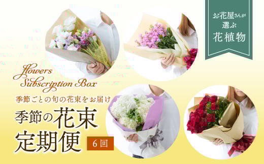 【全6回 定期便】 2ケ月に1回 季節の花束 定期便  F3S-1129