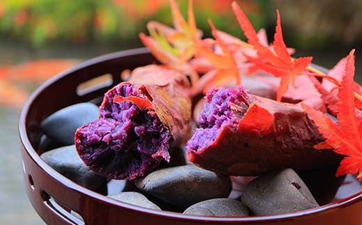 栽培期間中、農薬・化学肥料不使用 もちもち甘〜い『ふくむらさき』 小〜大混合 2kg さつまいも サツマイモ  F3S-2638
