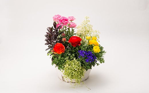 蝨定敢螻九&繧薙ョ蟇縺帶、阪∴螟ァ F3S-0591