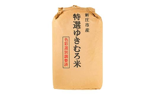 令和7年産 新庄産米 はえぬき（玄米）15kg  F3S-2634