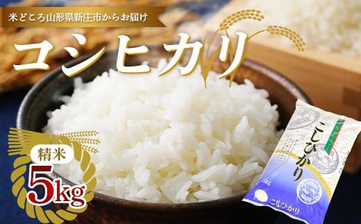 【令和7年産】 新庄産米 コシヒカリ 精米 5kg お米 コメ F3S-2404