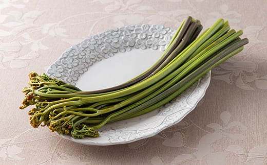 山圢çç£ããã³æ°Žç
® 3åã»ãã å±±è ç¡æŒçœ ç¡çè² ããã³ æ°Žç
® ã¿ãæ± ç
®ç© ãã²ãã çã蟌ã¿ã飯 æ±å F3S-1325