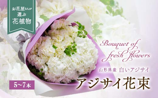 アジサイ（花束） 5〜7本 あじさい 紫陽花 山形県 新庄市  F3S-0287