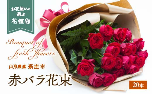 赤バラ 花束 20本  F3S-0746