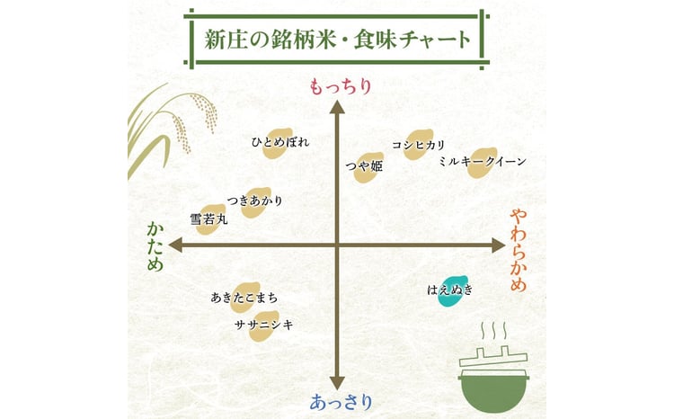 令和7年産 はえぬき 5kg×4 計20kg 精米 【最上ノ米蔵】 山形県産 こめ お米 米 白米 F3S-2701