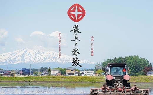 令和7年産 ＜定期便 6回＞ 山形県産 はえぬき 精米 10kg （5kg×2）【最上ノ米蔵】  F3S-2489