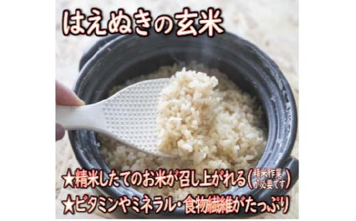 ã什å7幎ç£ã 山圢çç£ ã¯ãã¬ã çç±³ 5kg ç±³ ã³ã¡ ãã F3S-2698