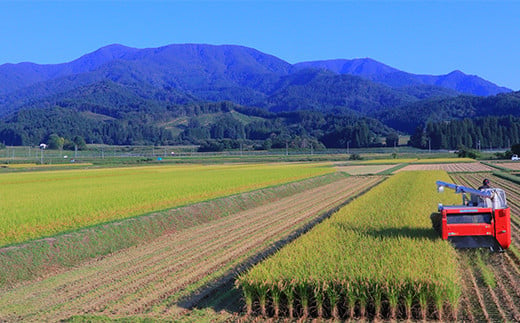 令和7年産米 厳選はえぬき（精米）1kg 米 お米 おこめ 山形県 新庄市  F3S-2376