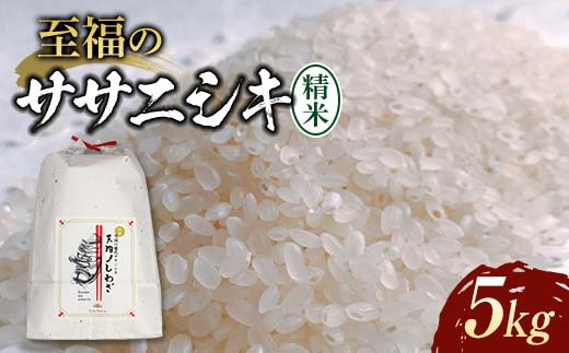 令和7年産 至福のササニシキ（精米）5kg×1袋 米 お米 おこめ 山形県 新庄市  F3S-2414