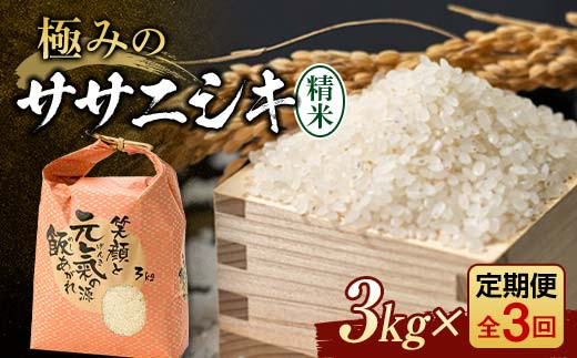 定期便 全3回 極みのササニシキ（精米）3kg 米 お米 おこめ ふるさと納税 山形県 新庄市  F3S-2387