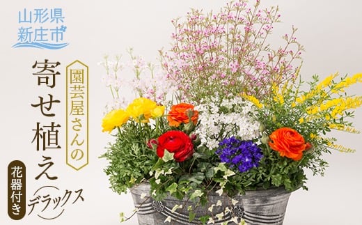 園芸屋さんの寄せ植えデラックス  F3S-0808