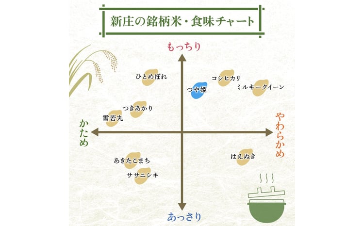 令和7年産 つや姫 5kg×2 計10kg 精米 【最上ノ米蔵】 山形県産 特別栽培米 こめ お米 米 白米  F3S-2684