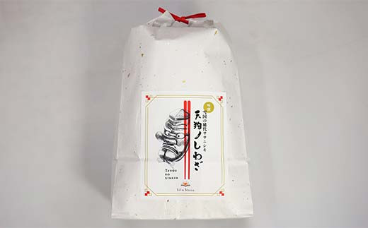 極みのササニシキ（精米） 5kg 米 お米 おこめ 山形県 新庄市  F3S-2431