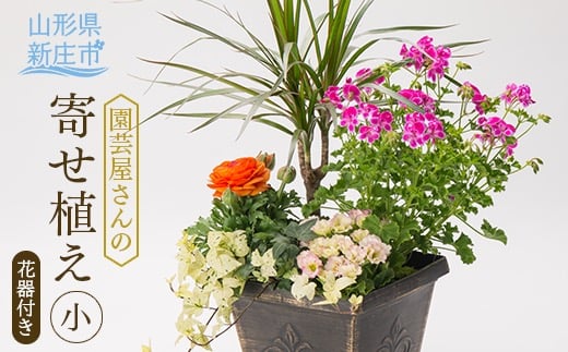 園芸屋さんの寄せ植え小  山形県 新庄市  F3S-0292