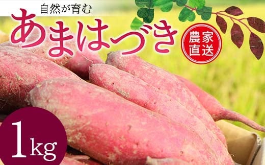 <2026年秋収穫分 先行予約> 自然が育む『あまはづき』1kg さつまいも サツマイモ 芋  F3S-2643