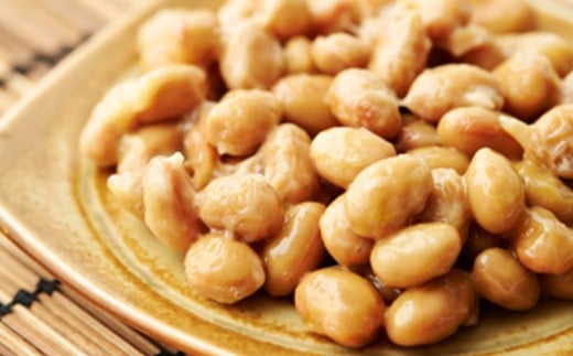 【定期便全6回】最上納豆セット 山形県 新庄市  F3S-2608