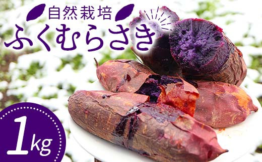 自然栽培 ふくむらさき 1kg サイズ 大〜小混合 さつまいも サツマイモ 芋  F3S-2637