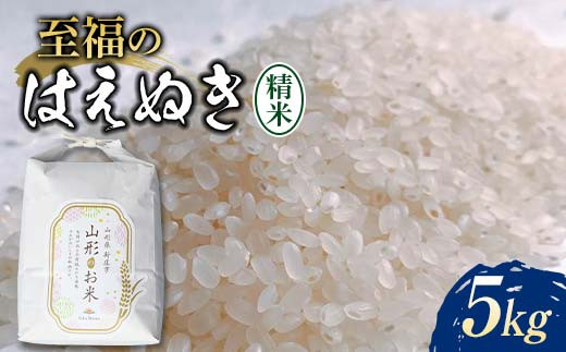 令和7年産 至福のはえぬき5kg 米 お米 おこめ 山形県 新庄市  F3S-2415