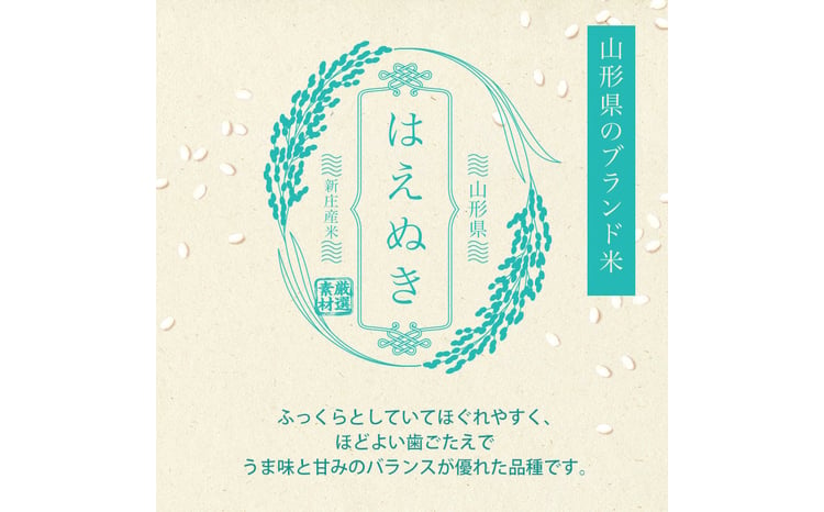 令和7年産 はえぬき 5kg×4 計20kg 精米 【最上ノ米蔵】 山形県産 こめ お米 米 白米 F3S-2701
