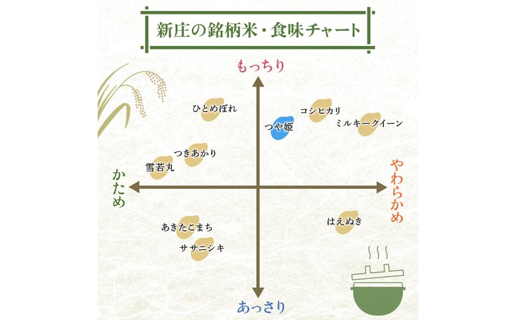 令和7年産 つや姫 5kg×4 計20kg 精米 【最上ノ米蔵】 山形県産 特別栽培米 こめ お米 米 白米 F3S-2705