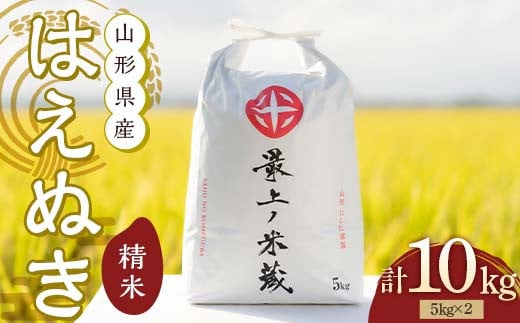 令和7年産 はえぬき 5kg×2 計10kg 精米 【最上ノ米蔵】 山形県産 こめ お米 米 白米 F3S-2700